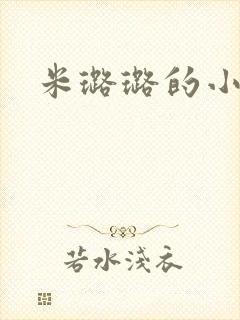 米璐璐的小说