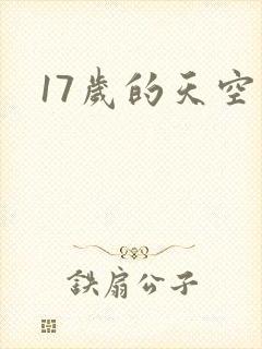 17岁的天空