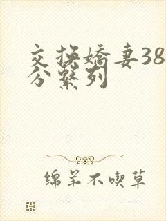 交换娇妻38部分系列
