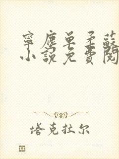 宁尘单柔苏千雪小说免费阅读最新