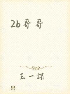 2b哥哥