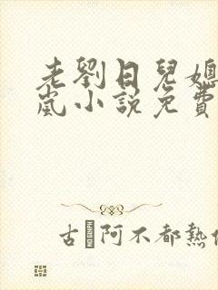 老刘日儿媳妇张岚小说免费阅读