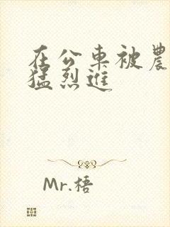 在公车被农民工猛烈进