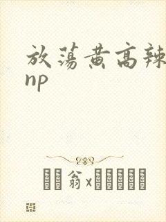 放荡黄高辣h文np