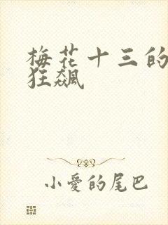 梅花十三的乳液狂飙