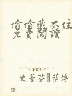 偷偷藏不住小说免费阅读