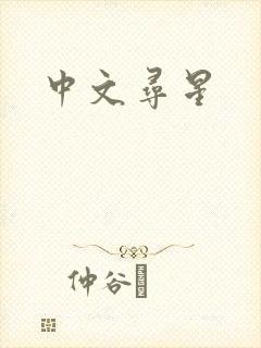中文寻星