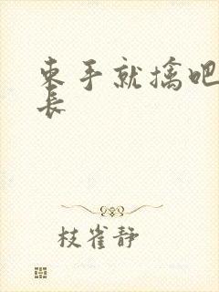 束手就擒吧韩队长