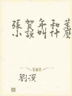 张贺年和叶繁姿小说叫什么名字