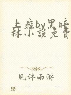 上瘾by黑暗森林小说免费