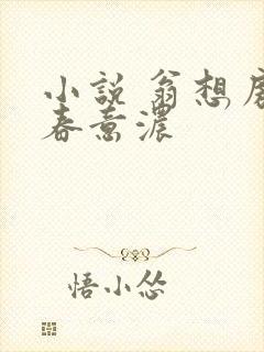 小说 翁想房中春意浓