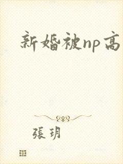 新婚被np高h