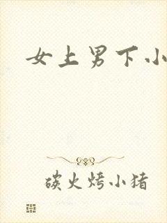 女上男下小说