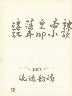 浪荡皇帝被多人玩弄np小说