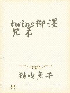 twins柳泽兄弟