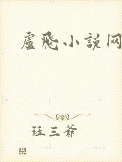 卢飞小说网