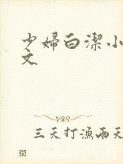 少妇白洁小说全文