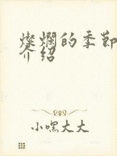 灿烂的季节剧情介绍