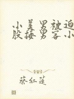 小美男被迫卖屁股接男客小说