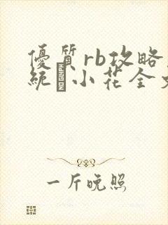 优质rb攻略系统寀小花全文免费阅读