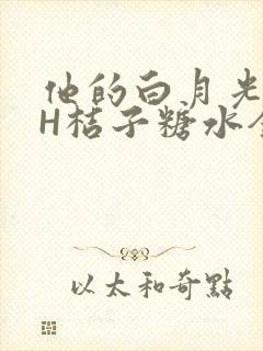 他的白月光HVH桔子糖水全文