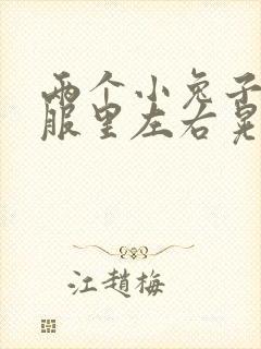 两个小兔子在衣服里左右晃