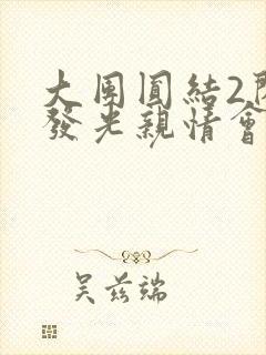 大团圆结2闪闪发光亲情会