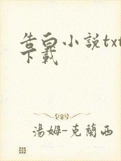 告白小说txt下载