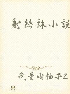 射丝袜小说