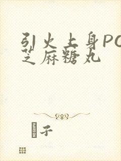 引火上身POP芝麻糖丸