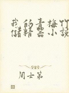 我的青梅竹马是储精器小说