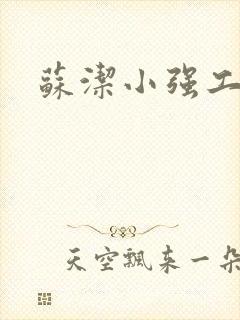 苏洁小强工地情