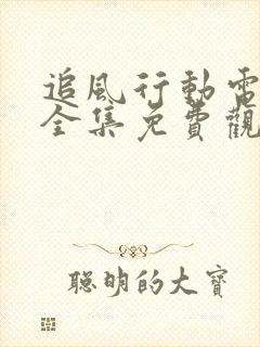 追风行动电视剧全集免费观看