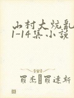 山村大炕乱肉续1-14集小说