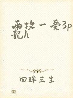 两攻一受3p双龙h