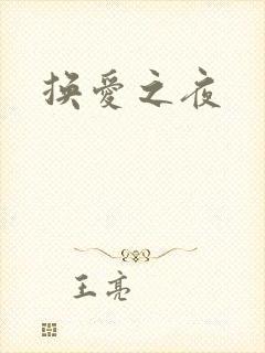 换爱之夜
