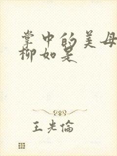 掌中的美母版主柳如是