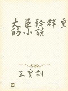 大臣干群皇太后的小说