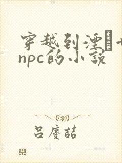 穿越到湮婸世界npc的小说