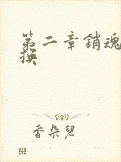 第二章销魂的交换