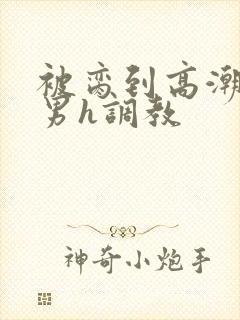 被脔到高潮的直男h调教