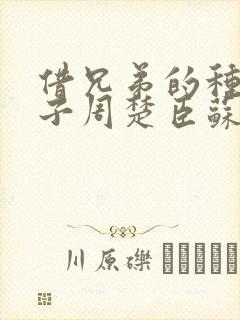 借兄弟的种生孩子周楚臣苏糖