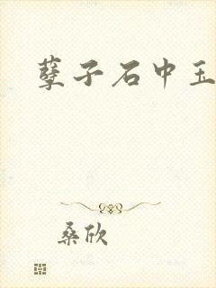 孽子石中玉