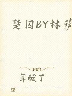 楚囚BY林萨