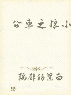 公车之狼小说