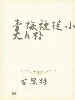 青梅被从小摸到大h补