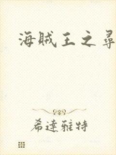 海贼王之寻亲记