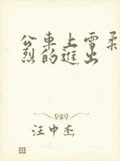 公车上雪柔被猛烈的进出