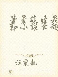 萧晨苏晴最新章节小说笔趣阁