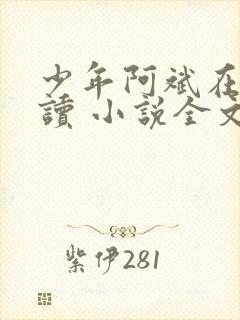 少年阿斌在线阅读 小说全文免费